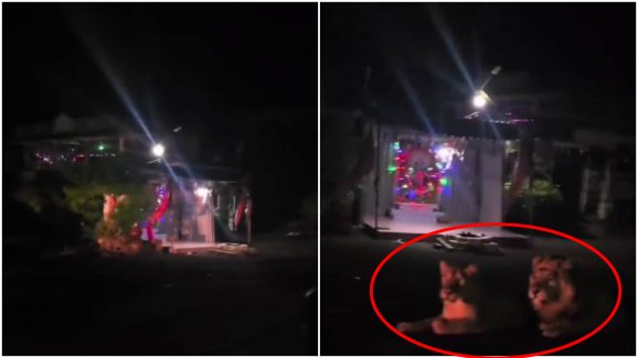 Viral Video: అమ్మవారి ఆలయానికి సింహాల కాపలా.. చూస్తే షాకవుతారు!
