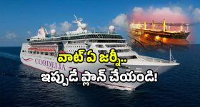 Vizag to Chennai Cruise ship: వైజాగ్ టు చెన్నై క్రూయిజ్ షిప్.. ఒక్కసారి ట్రై చేస్తే మళ్లీ మర్చిపోలేరు!