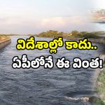Water Bridge in AP: ఇదేం స్పాట్.. ఏపీలో ది బెస్ట్ అంటే ఇదేనట.. ఇక్కడన్నీ వింతలే!