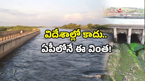 Water Bridge in AP: ఇదేం స్పాట్.. ఏపీలో ది బెస్ట్ అంటే ఇదేనట.. ఇక్కడన్నీ వింతలే!