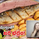 Fish Bone: మహిళ గొంతు చీల్చుకుని బయటకు వచ్చిన చేప ముల్లు, చివరికి..