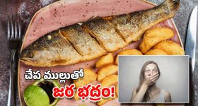 OTT Movie : 30 కోట్ల బడ్జెట్, 300 కోట్ల కలెక్షన్స్... ఆస్కార్ ను అందుకున్న ఈ మూవీ ఏ ఓటీటీలో ఉందో తెలుసా ?