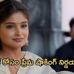 Illu Illalu Pillalu Today Episode: భర్త కోసం కష్టపడుతున్న నర్మద.. షాక్ లో శ్రీవల్లి.. ధీరజ్, ప్రేమ ఫైట్..