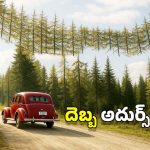 Finland Clever Trick: దారి పొడవునా.. చెట్లను గాల్లోకి వేలాడదీసి.. రష్యాకు చుక్కలు చూపించిన ఫిన్‌ల్యాండ్, ఎందుకలా?