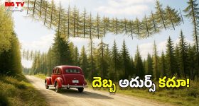 Instant Facial: ఐదు నిమిషాల్లో గ్లోయింగ్ స్కిన్ మీ సొంతం