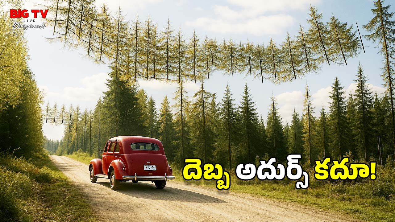 Finland Clever Trick: దారి పొడవునా.. చెట్లను గాల్లోకి వేలాడదీసి.. రష్యాకు చుక్కలు చూపించిన ఫిన్‌ల్యాండ్, ఎందుకలా?