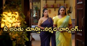 Thammudu First Review: ' తమ్ముడు ' మూవీ ఫస్ట్ రివ్యూ.. నితిన్ హిట్ కొడతాడా..?