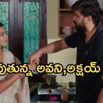 Intinti Ramayanam Today Episode: పార్వతి పరిస్థితిపై బాధపడ్డ అవని..భార్యలకు షాకిచ్చిన కమల్, శ్రీకర్..ప్రేమలో పడ్డ అక్షయ్..