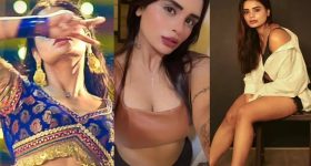 Shresta Iyer: ఐటెం గర్ల్ గా మారిన టీమిండియా ప్లేయర్ సోదరి