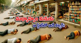 Afternoon nap: అక్కడ మధ్యాహ్నం 1 గంట అయితే పాపం.. ఎక్కడివాళ్లు అక్కడే నిద్రపోతారు!
