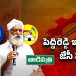 Big Shock to Kethireddy: జేసీ పంతం.. పెద్దా రెడ్డికి కష్టమేనా?