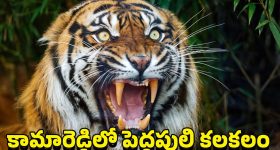 Fahad Fazil: పుష్ప విలన్ వాడే ఫోన్ ఖరీదు తెలిస్తే షాక్.. మరీ ఇలా అయితే ఎలా?