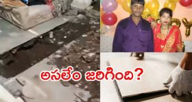 Sheila Singh :  సాక్షి తల్లి చేతిలో 800 కోట్ల బిజినెస్... ధోని అత్తగారి బ్యాగ్రౌండ్ మామూలుగా లేదుగా !