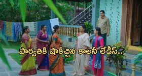 Intinti Ramayanam Today Episode: అక్షయ్, అవనిని చూసి పార్వతి షాక్.. రాజేంద్ర ప్రసాద్ వార్నింగ్.. కన్నీళ్లు పెట్టుకున్న పార్వతి..