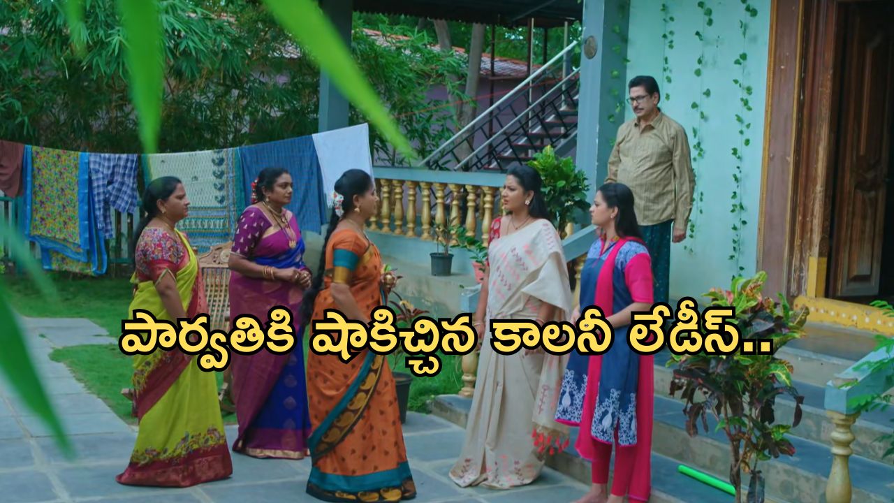 Intinti Ramayanam Today Episode: అక్షయ్, అవనిని చూసి పార్వతి షాక్.. రాజేంద్ర ప్రసాద్ వార్నింగ్.. కన్నీళ్లు పెట్టుకున్న పార్వతి..