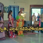 Intinti Ramayanam Today Episode: పార్వతికి క్లాస్ పీకిన రాజేంద్ర ప్రసాద్.. పల్లవికి షాకివ్వబోతున్న అవని..