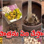 Strange ritual: పెద్ద పాత్రలో పాము, గుడ్లు, అరటిపండ్లు వేశారు.. ఆ తర్వాత? ఇదెక్కడి ఆచారం సామీ!