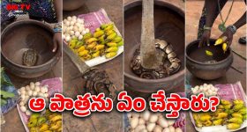 Samantha: చీరకట్టులో  గ్లామర్ పెంచేసిన సమంత.. వీధుల్లో చక్కర్లు కొడుతూ..