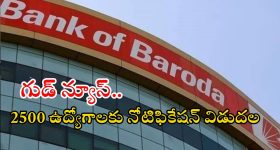 Bank of Baroda: బ్యాంక్ ఆఫ్ బరోడాలో ఉద్యోగ అవకాశాలు.. భారీ వేతనాలు, డోంట్ మిస్