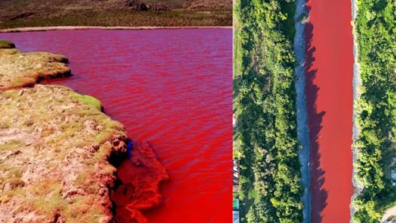 Blood River: ఆ నదిలో ఏరులా పారుతున్న రక్తం, దీని వెనుకున్న రహస్యం ఏంటి?
