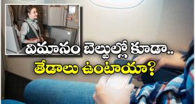 Cabin Crew Seats:  ప్యాసింజర్లతో పోల్చితే క్యాబిన్ క్రూ సీట్ బెల్ట్స్ డిఫరెంట్ గా ఉంటాయి, ఎందుకో తెలుసా?
