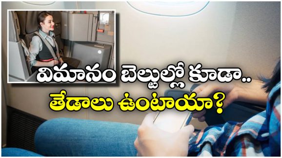 Cabin Crew Seats:  ప్యాసింజర్లతో పోల్చితే క్యాబిన్ క్రూ సీట్ బెల్ట్స్ డిఫరెంట్ గా ఉంటాయి, ఎందుకో తెలుసా?