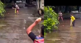 King Cobra Video: 18 అడుగుల కింగ్ కోబ్రాను చేతితో ఎలా పట్టుకున్నాడో చూడండి.. వీడియో వైరల్