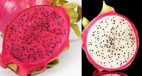 Dragon Fruit: రక్తం పెరగాలంటే ఎర్ర డ్రాగన్ ఫ్రూట్ తినాలా? మరి తెల్ల డ్రాగన్ పండు తింటే ఏమవుతుంది?