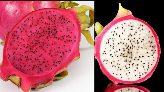 Dragon Fruit: రక్తం పెరగాలంటే ఎర్ర డ్రాగన్ ఫ్రూట్ తినాలా? మరి తెల్ల డ్రాగన్ పండు తింటే ఏమవుతుంది?