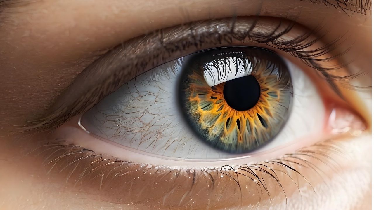 Eye Sight:  హమ్మయ్య.. ఇక కంటి చూపు తిరిగి వచ్చేస్తాది.. థాంక్స్‌ టు కొరియన్ సైంటిస్ట్స్!