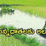 Annadata Sukhibhava Scheme 2025: అన్నదాత సుఖీభవ పథకం.. ఆ ఛాన్స్ మిస్ చేసుకోవద్దు