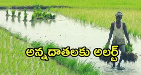 iPhone Voice Isolation: ఎంత శబ్దం ఉన్నా స్పష్టమైన కాల్స్.. ఐఫోన్‌లో వాయిస్ ఐసోలేషన్ ఫీచర్