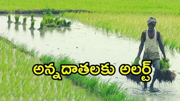 Annadata Sukhibhava Scheme 2025: అన్నదాత సుఖీభవ పథకం.. ఆ ఛాన్స్ మిస్ చేసుకోవద్దు