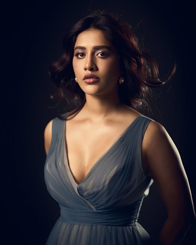 Nabha Natesh Photo Gallery