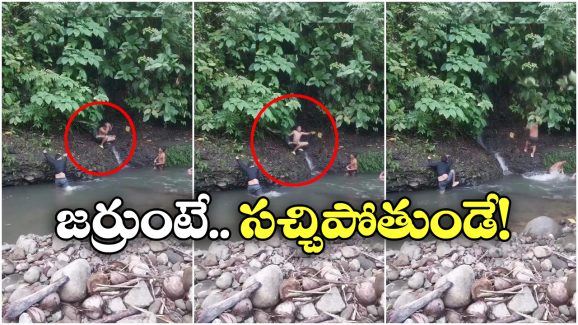 Viral Video: జాలీగా జలకాలాడుతుంటే.. మెడపై మెత్తగా ఏదో తగిలింది.. ఇక పరుగో పరుగు!