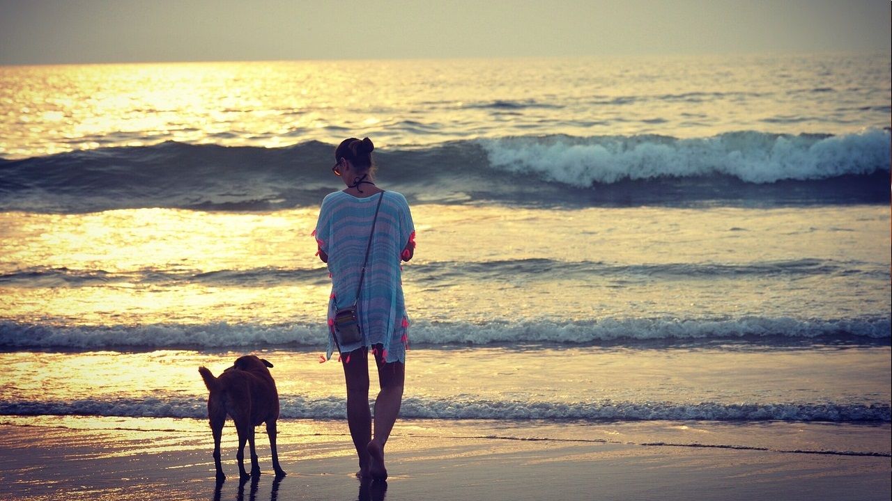 Things in Goa: గోవా వెళ్తున్నారా? పొరపాటున కూడా ఈ పనులు చేయకండి, జైలుకు పోతారు
