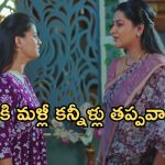 Intinti Ramayanam Today Episode: అవని, అక్షయ్ సేఫ్.. కమల్ ఫుల్ హ్యాపీ.. ప్రణతికి పల్లవి షాకివ్వబోతుందా..?