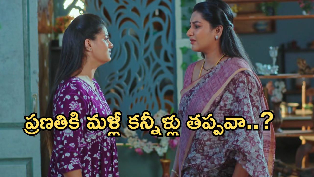 Intinti Ramayanam Today Episode: అవని, అక్షయ్ సేఫ్.. కమల్ ఫుల్ హ్యాపీ.. ప్రణతికి పల్లవి షాకివ్వబోతుందా..?