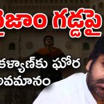 Pawan Kalyan HHVM Movie : హరి హర… నైజాంలో దిక్కెవ్వరు ?
