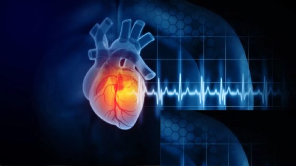 Heart Attack: ముప్పైలలో గుండె సమస్య ఉంటే మీకు కనిపించే ఐదు నిశ్శబ్ద లక్షణాలు ఇవే Heart Attack: ముప్పైలలో గుండె సమస్య ఉంటే మీకు కనిపించే ఐదు నిశ్శబ్ద లక్షణాలు ఇవే