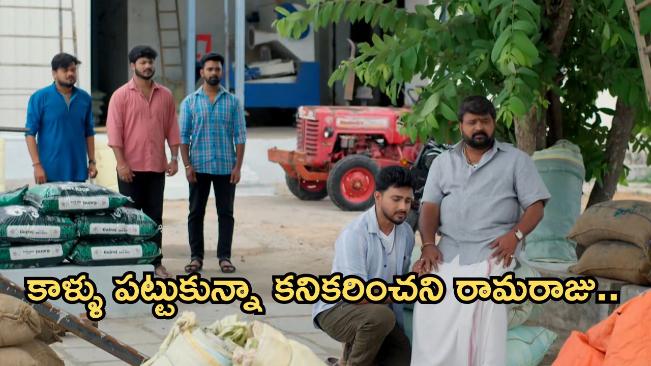 Illu Illalu Pillalu Today Episode: తండ్రిని క్షమాపణలు అడిగిన ధీరజ్.. శాశ్వతంగా రామరాజుకు దూరం అవుతాడా..?