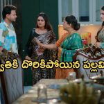 Intinti Ramayanam Today Episode: అవని దెబ్బకు పల్లవికి మైండ్ బ్లాక్.. చక్రధర్ కు నిజం తెలిసిపోతుందా..?