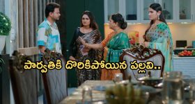 Intinti Ramayanam Today Episode: అవని దెబ్బకు పల్లవికి మైండ్ బ్లాక్.. చక్రధర్ కు నిజం తెలిసిపోతుందా..?