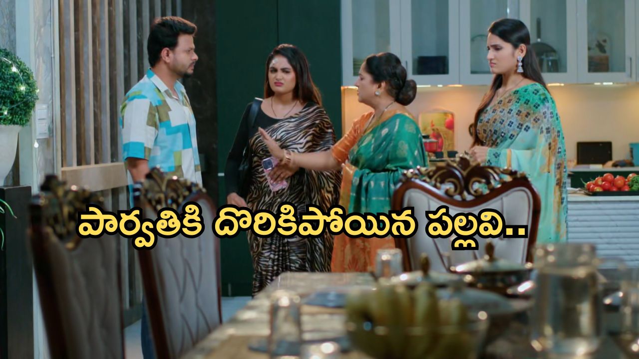Intinti Ramayanam Today Episode: అవని దెబ్బకు పల్లవికి మైండ్ బ్లాక్.. చక్రధర్ కు నిజం తెలిసిపోతుందా..?
