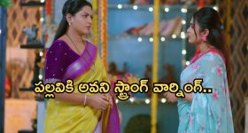Intinti Ramayanam Today Episode: అవనికి మైండ్ బ్లాక్.. రాజేంద్రప్రసాద్ కు షాకివ్వబోతున్న పార్వతి... ప్రణతికి కన్నీళ్లు..?