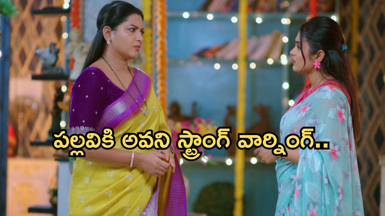 Intinti Ramayanam Today Episode: అవనికి మైండ్ బ్లాక్.. రాజేంద్రప్రసాద్ కు షాకివ్వబోతున్న పార్వతి… ప్రణతికి కన్నీళ్లు..?