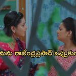 Intinti Ramayanam Today Episode: బయటపడ్డ ప్రణతి ప్రేమ.. అవనికి మరో కొత్త టెన్షన్.. పార్వతికి పల్లవి ప్లాన్..