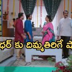 Intinti Ramayanam Today Episode: ప్రణతికి షాకివ్వబోతున్న పార్వతి.. అవనిని కాపాడిన అక్షయ్.. మరో ట్విస్ట్..