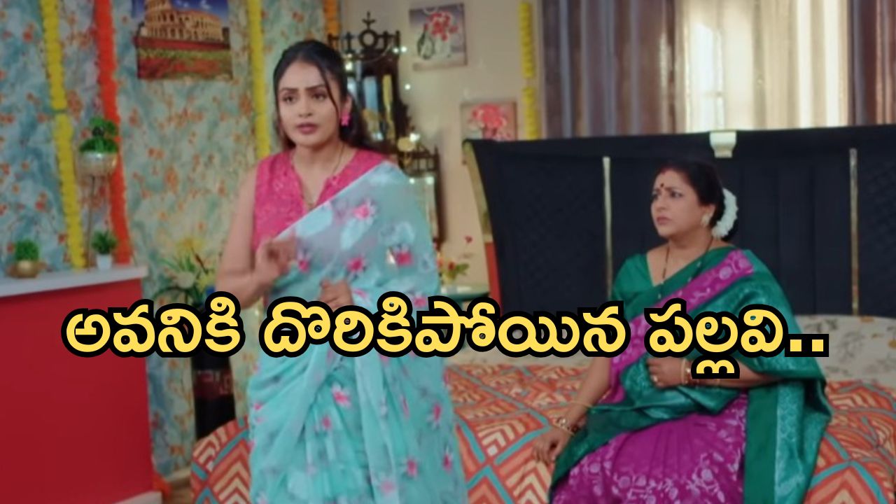 Intinti Ramayanam Today Episode: పార్వతి పై అవనికి అనుమానం.. పల్లవి ప్లాన్ తెలిసిపోతుందా..?