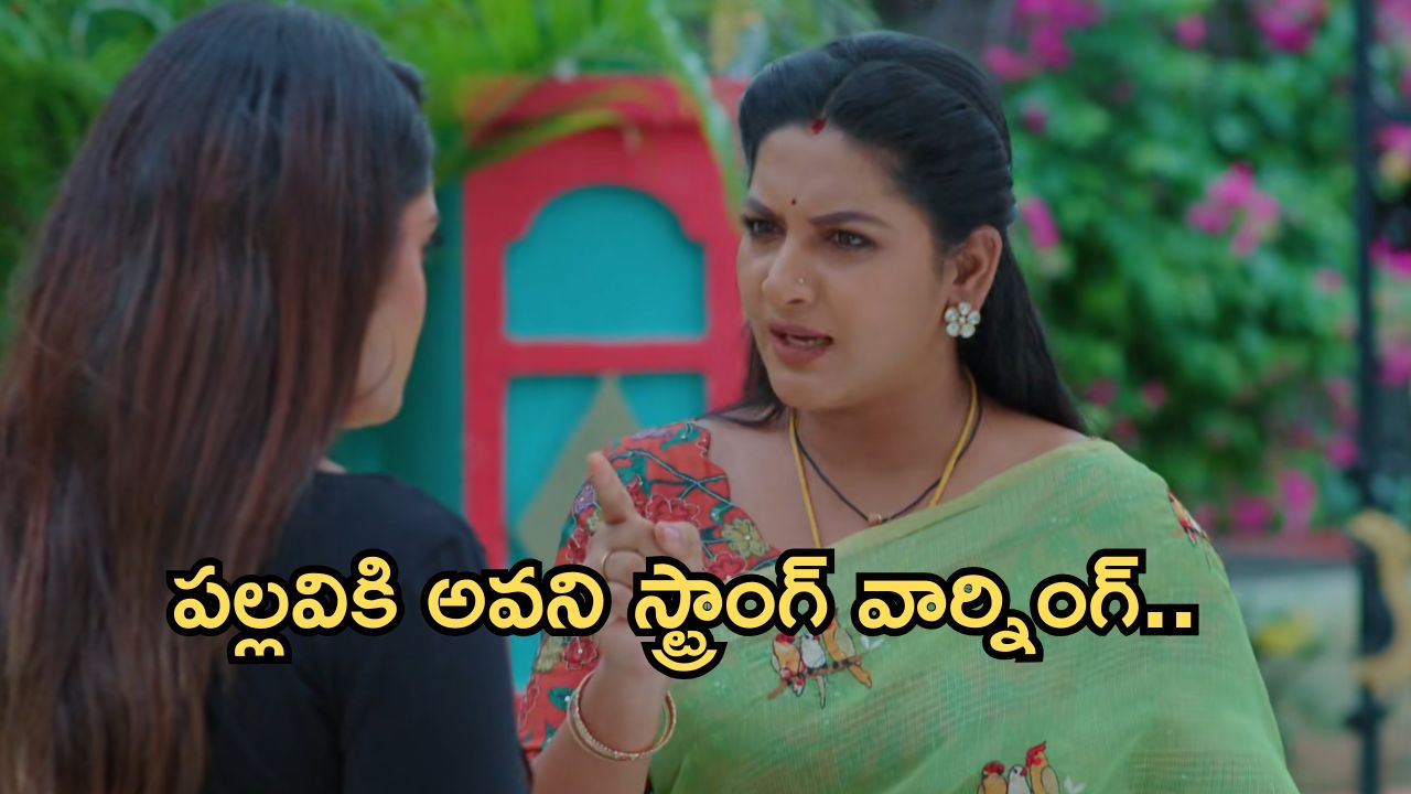 Intinti Ramayanam Today Episode: అవనిని కాపాడిన అక్షయ్.. పల్లవి అనుమానమే నిజామా? అవనికి షాక్..